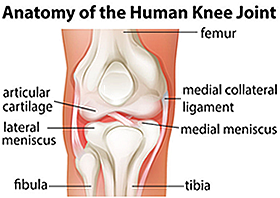 Medial-Collateral-Ligament-Knee-Injury-MCL-Doctors-NYC